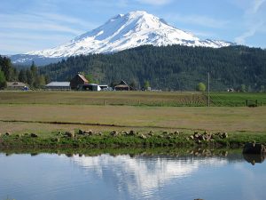 MtAdams2-large
